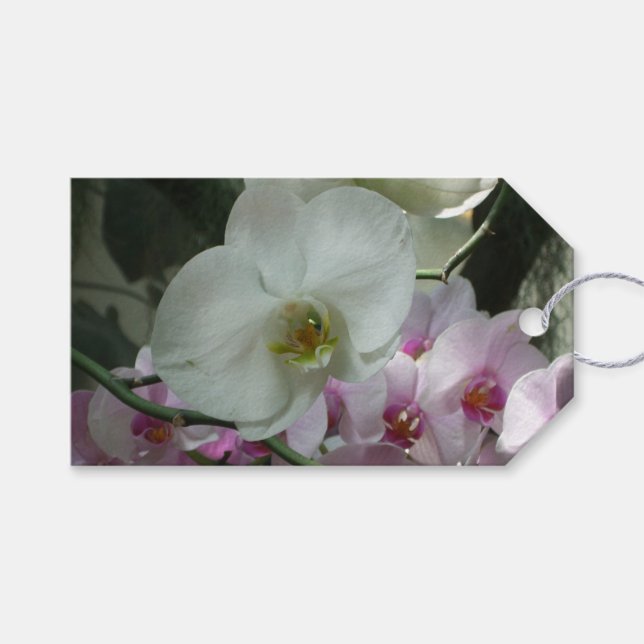 Weiße und Lila Orchideen Geschenkanhänger (Vorderseite (Horizontal))