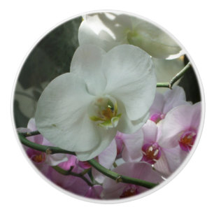 Weiße und Lila Orchideen Keramikknauf