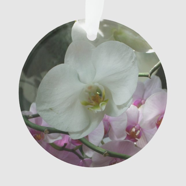 Weiße und Lila Orchideen Ornament (Vorderseite)