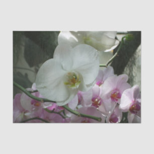 Weiße und Lila Orchideen Seidenpapier