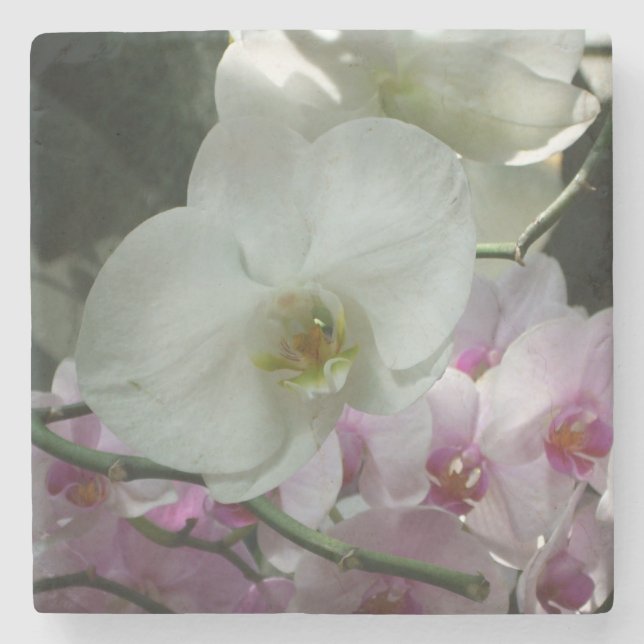 Weiße und Lila Orchideen Steinuntersetzer (Vorderseite)