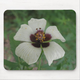 Weiße und Lila Passionsblume Mousepad