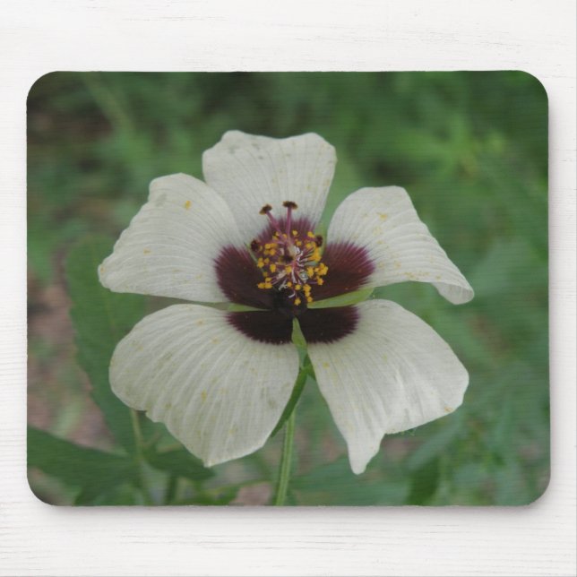 Weiße und Lila Passionsblume Mousepad (Vorne)