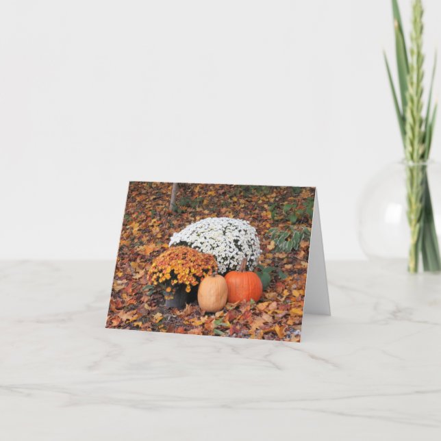 Weiße und orangefarbene Herbstmütter Karte (Vorderseite)