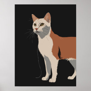 Weiße und orangefarbene Katze mit schwarzem Hinter Poster