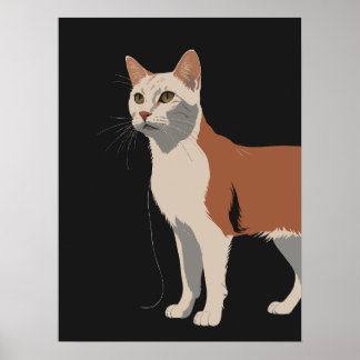 Weiße und orangefarbene Katze mit schwarzem Hinter Poster