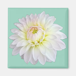 Weiße und rosa Blume Magnet