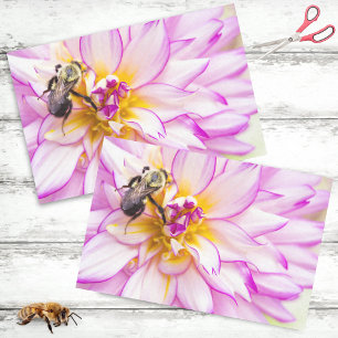 Weiße und rosa Dahlie mit Hummel Seidenpapier