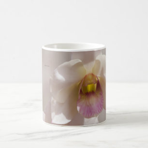 Weiße und rosa Orchideenblüte auf unscharfem Hinte Kaffeetasse