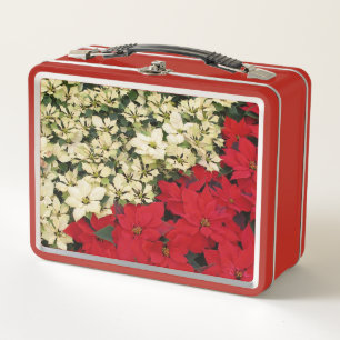 Weiße und rote Poinsettien I Festliche Blumenarran Metall Brotdose