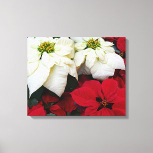 Weiße und rote Poinsettien II Weihnachtsfeiertag Leinwanddruck