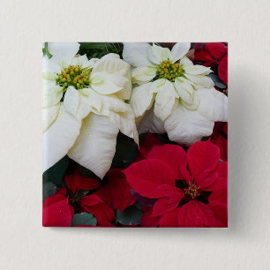 Weiße und rote Weihnachtssterne II Weihnachtsfeier Button