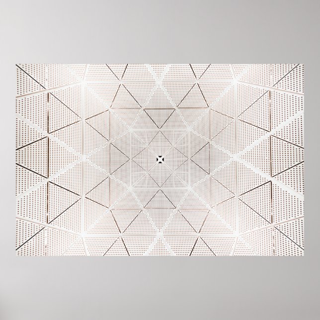 Weiße und schwarze Abbildung Poster (Vorne)