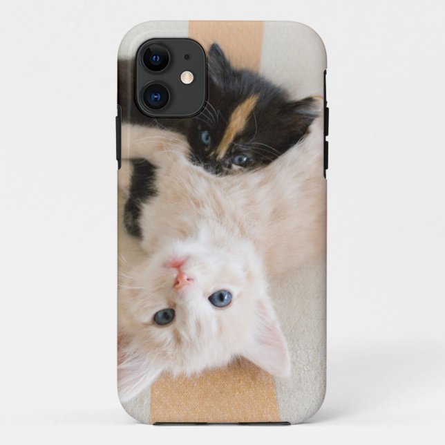 Weiße und schwarze Kätzchen Case-Mate iPhone Hülle (Rückseite)