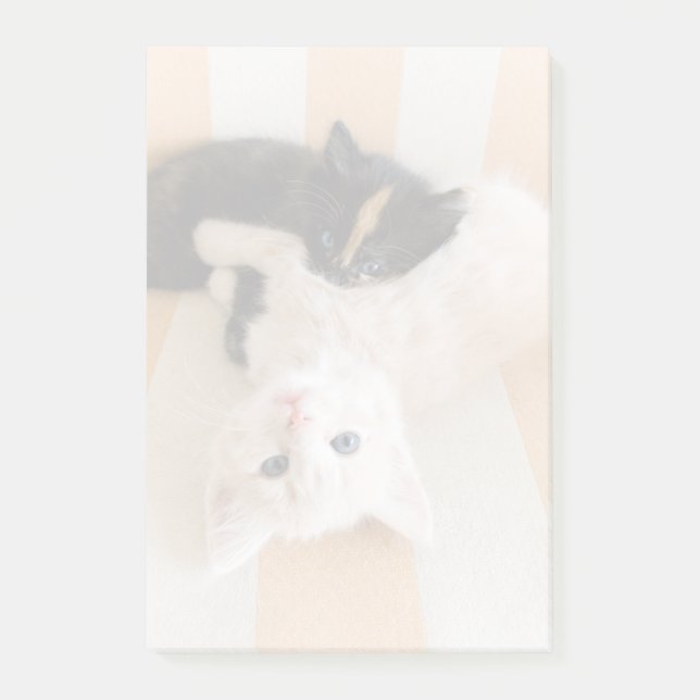 Weiße und schwarze Kätzchen Post-it Klebezettel (Vorderseite)