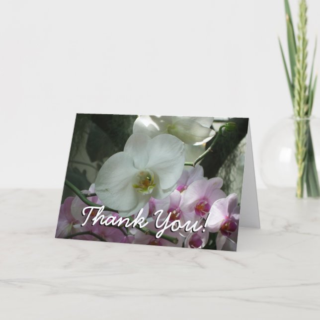 Weiße und violette Orchideen Dankeskarte (Vorderseite)