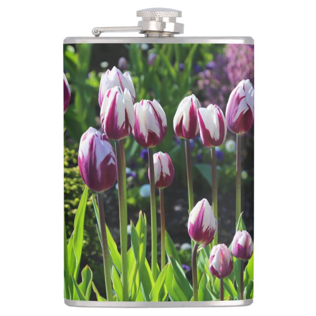 Weiße und violette Tulpen Flachmann (Vorderseite)
