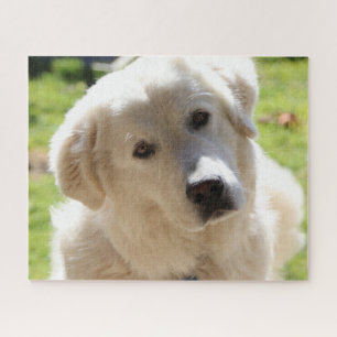 Weiße Viehhalter Hund Maremma Puzzle