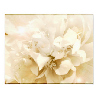 Weiße Vintage-Dahlienblume Florale Fotografie