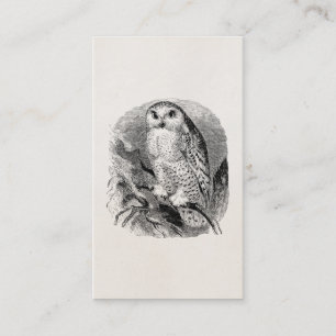 Weiße Vintage-Eule Personalisierte Eulen Vögel Visitenkarte