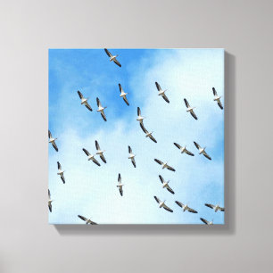 Weiße Vögel im Flug-Leinwand-Druck Leinwanddruck