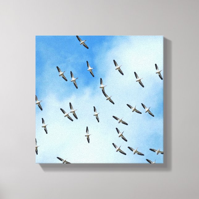 Weiße Vögel in Flight Canvas Print Leinwanddruck (Vorderseite)
