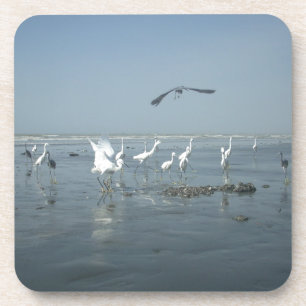 Weiße Vögel zeigen Hakuna matata.JPG Getränkeuntersetzer