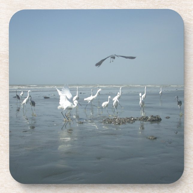Weiße Vögel zeigen Hakuna matata.JPG Getränkeuntersetzer (Vorderseite)