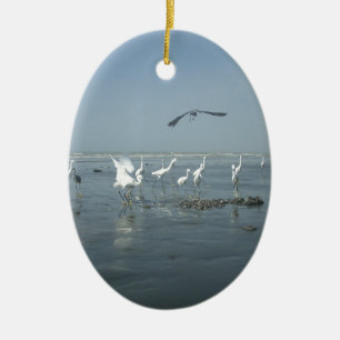 Weiße Vögel zeigen Hakuna matata.JPG Keramikornament