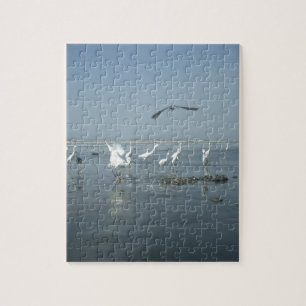 Weiße Vögel zeigen Hakuna matata.JPG Puzzle