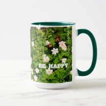Weiße Wald Anemone Frühlingsblumen Seien Sie Glück