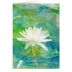 Weiße Wasserlilie Blossom