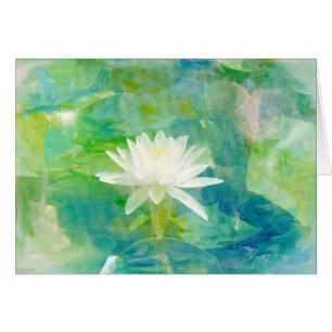 Weiße Wasserlilie-Blüte