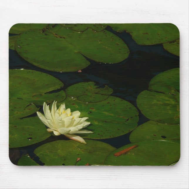 Weiße Wasserlilie I Friedliche Blumenfotografie Mousepad (Vorne)