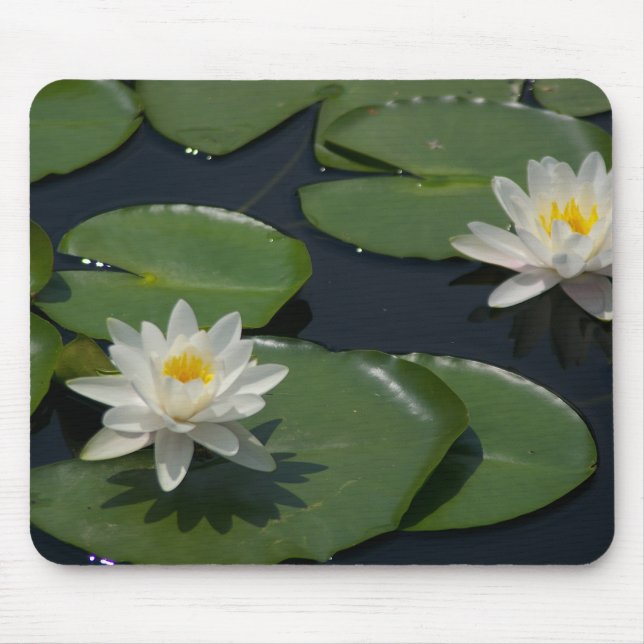 Weiße Wasserlilie Mousepad (Vorne)
