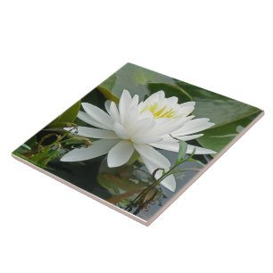 Weiße Wasserlilie-Wildblume Fliese