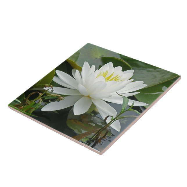 Weiße Wasserlilie-Wildblume Fliese (Seite)