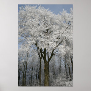 weiße Weihnachtsfeier Poster