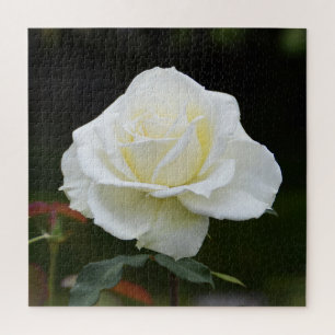 Weiße Weihnachtsrose floral Puzzle