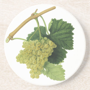 Weiße Weintrauben am Rebstock, Vintage-Lebensmitte Sandstein Untersetzer