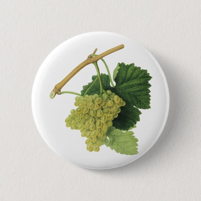 Weiße Weintrauben auf dem Weinberg, Vintages Leben Button (Vorderseite)