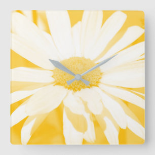 Weiße weiße weiße Daisy Quadratische Wanduhr