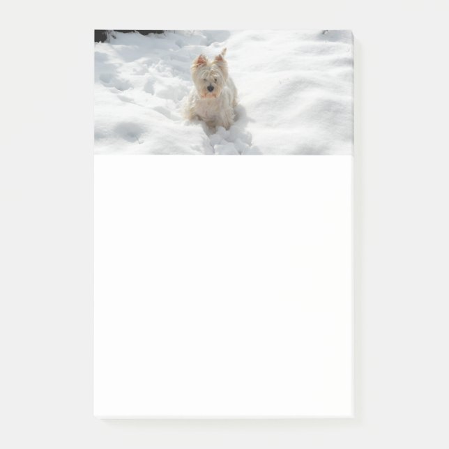 Weiße Westie Hund in Schneebönen Post-it Klebezettel (Vorderseite)