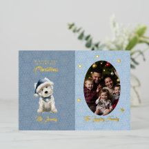 Weiße Westie und Weihnachten