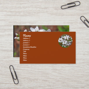 Weiße Wildblume und Bienenfliegen Visitenkarte