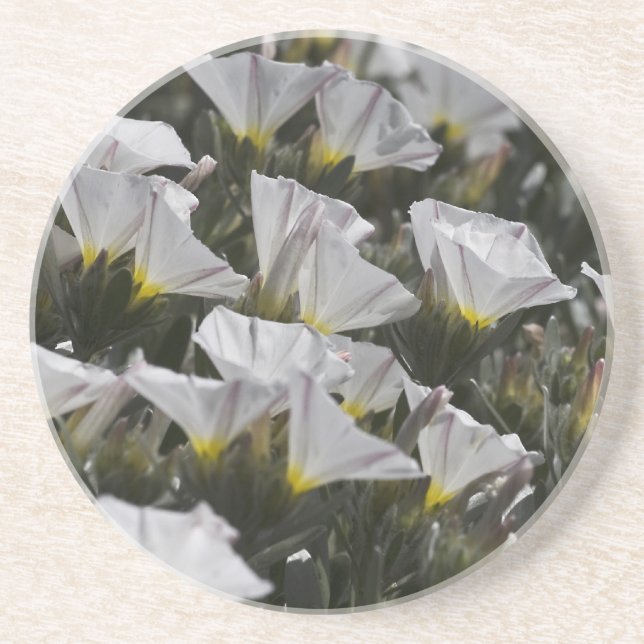 Weiße Wildblumen Getränkeuntersetzer (Vorne)