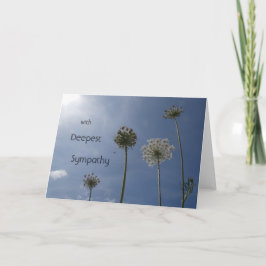 Weiße Wildblumen keuchen. Beileid Grußkarte Karte