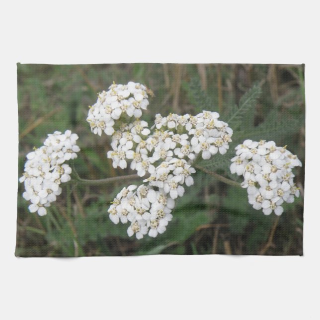 Weiße Wildblumen Küchentücher (Horizontal)
