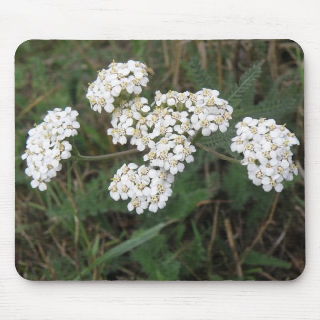 Weiße Wildblumen Mousepad (Vorne)