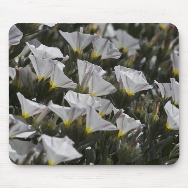 weiße Wildblumen Mousepad (Vorne)